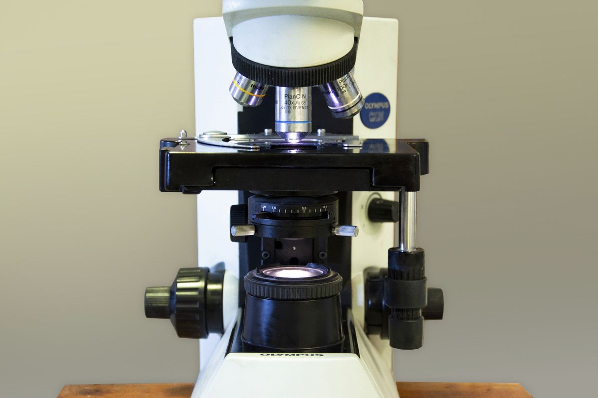 Laboratorio Alvear - Imagen 4